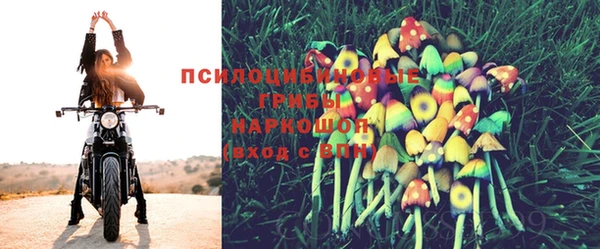 кокс Алексеевка