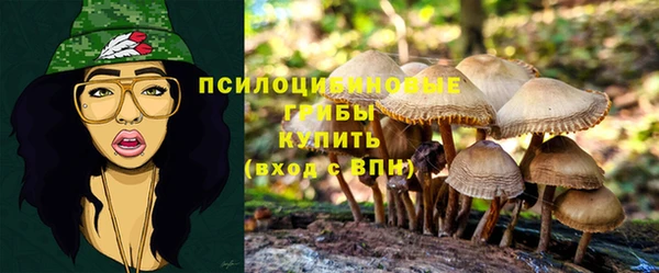 кокс Алексеевка
